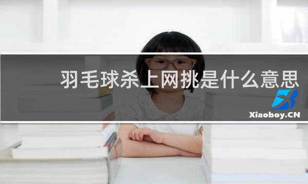 羽毛球杀上网挑是什么意思