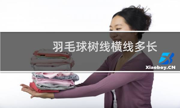 羽毛球树线横线多长