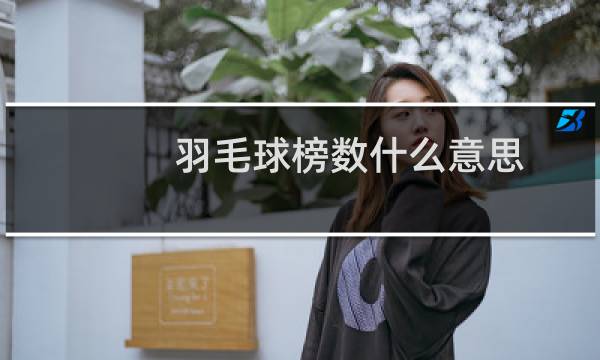 羽毛球榜数什么意思