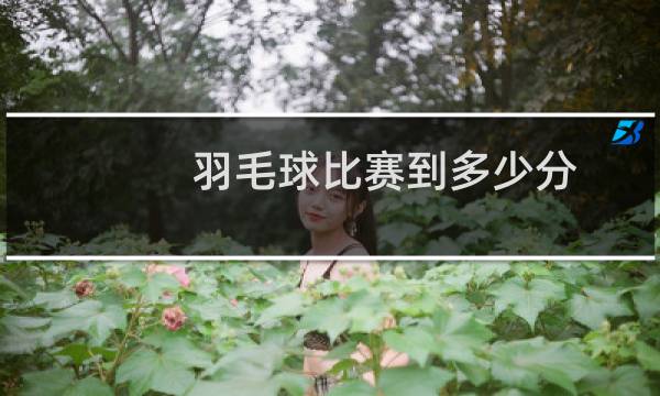 羽毛球比赛到多少分