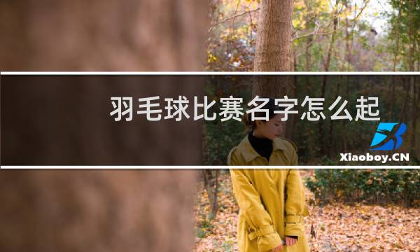 羽毛球比赛名字怎么起