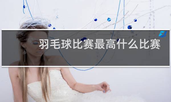 羽毛球比赛最高什么比赛