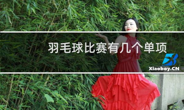 羽毛球比赛有几个单项