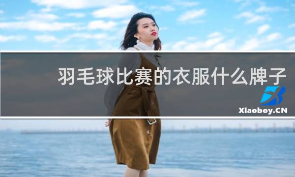 羽毛球比赛的衣服什么牌子