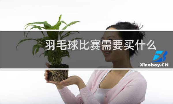 羽毛球比赛需要买什么