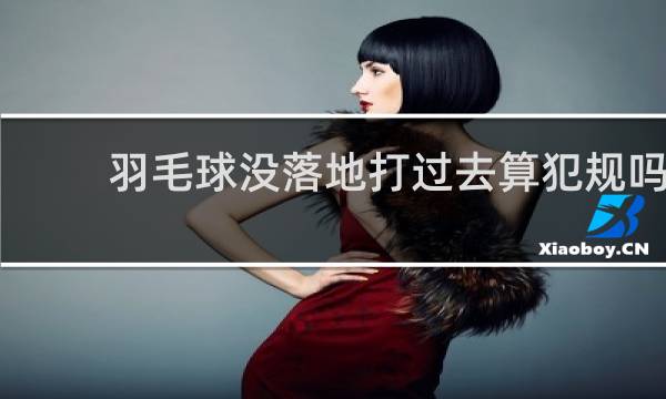 羽毛球没落地打过去算犯规吗