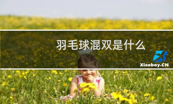 羽毛球混双是什么