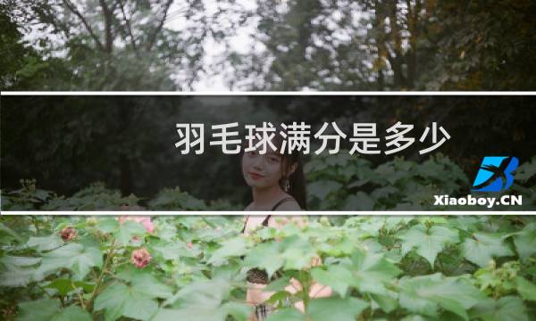 羽毛球满分是多少