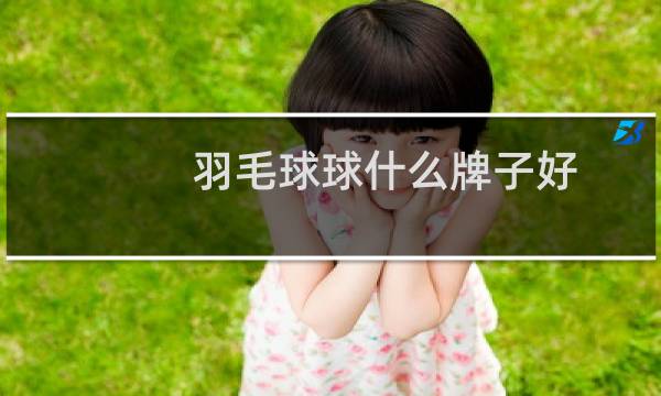 羽毛球球什么牌子好