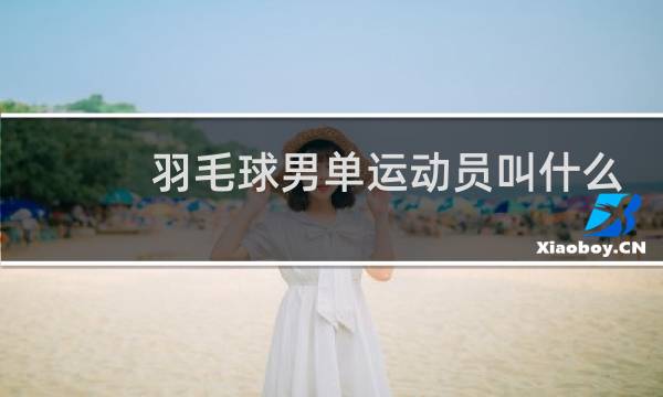 羽毛球男单运动员叫什么