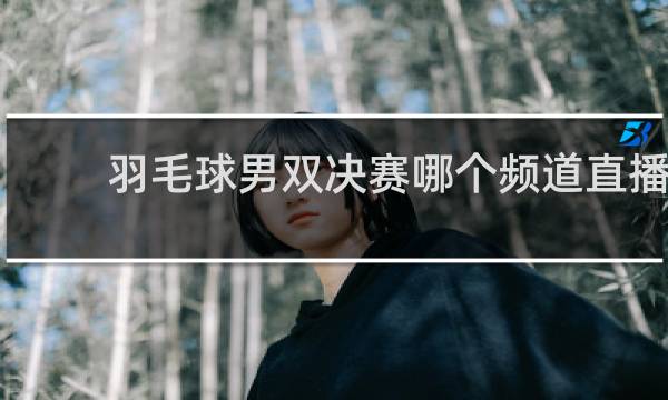 羽毛球男双决赛哪个频道直播