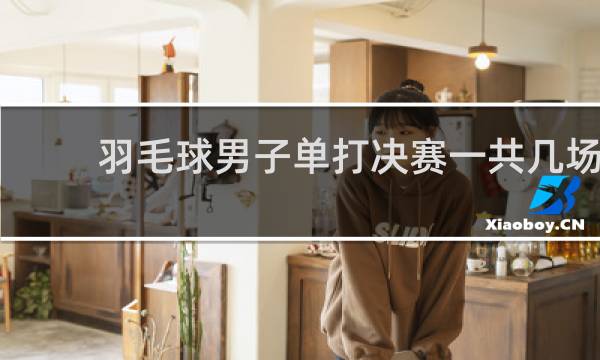 羽毛球男子单打决赛一共几场