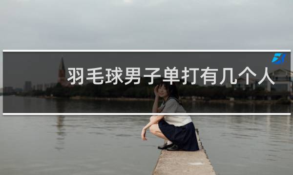 羽毛球男子单打有几个人