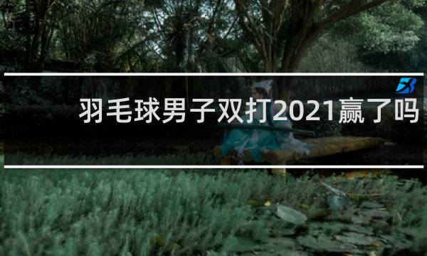羽毛球男子双打2021赢了吗