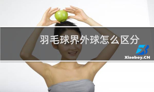 羽毛球界外球怎么区分