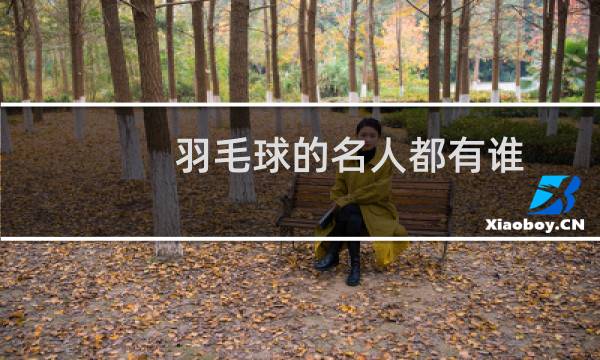 羽毛球的名人都有谁
