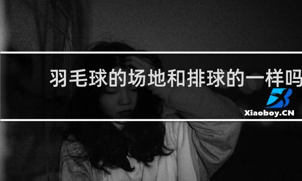 羽毛球的场地和排球的一样吗