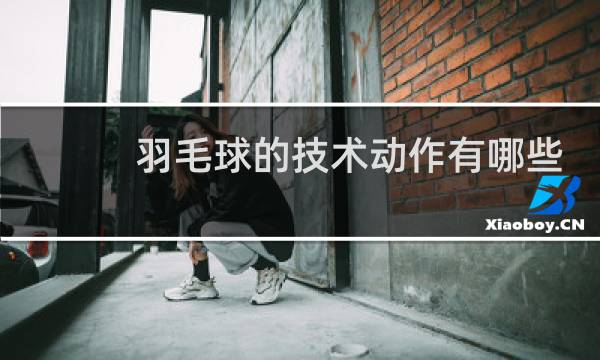 羽毛球的技术动作有哪些