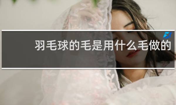 羽毛球的毛是用什么毛做的