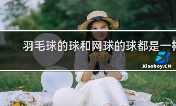 羽毛球的球和网球的球都是一样的吗