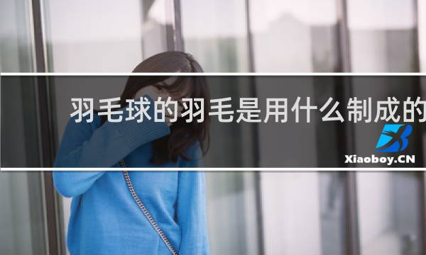 羽毛球的羽毛是用什么制成的