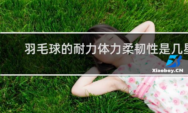 羽毛球的耐力体力柔韧性是几星