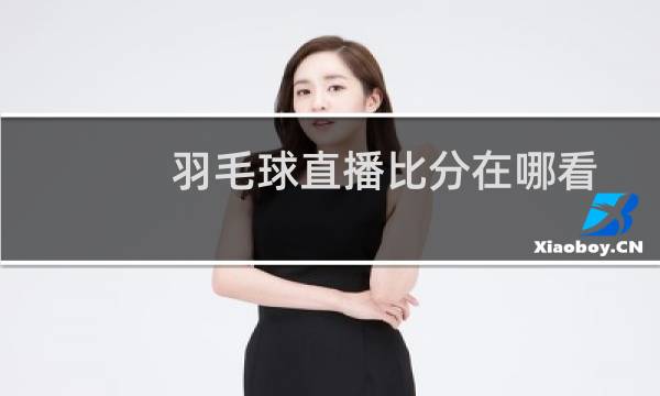 羽毛球直播比分在哪看