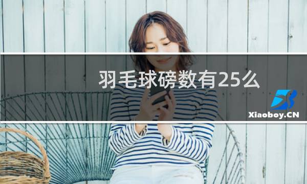 羽毛球磅数有25么