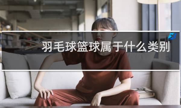 羽毛球篮球属于什么类别