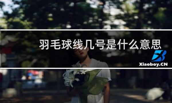羽毛球线几号是什么意思