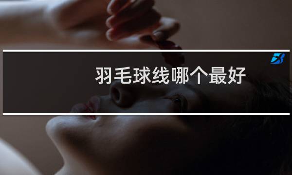羽毛球线哪个最好