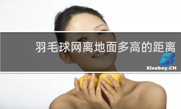 羽毛球网离地面多高的距离