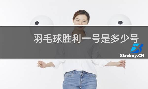羽毛球胜利一号是多少号