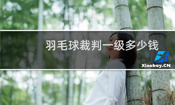 羽毛球裁判一级多少钱