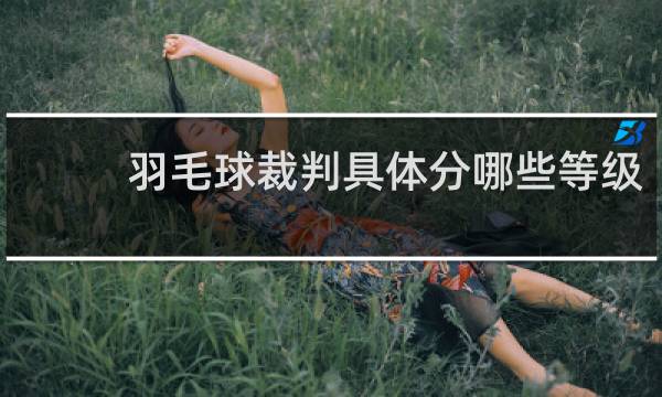羽毛球裁判具体分哪些等级