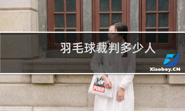 羽毛球裁判多少人