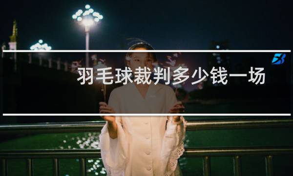 羽毛球裁判多少钱一场