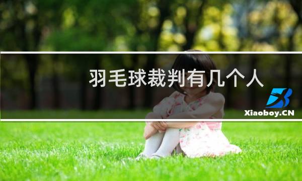 羽毛球裁判有几个人