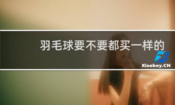 羽毛球要不要都买一样的
