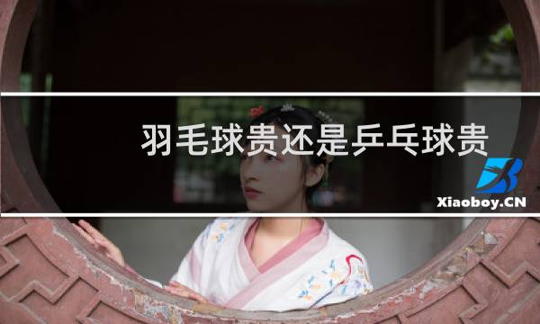 羽毛球贵还是乒乓球贵