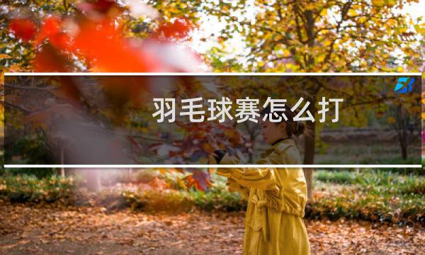 羽毛球赛怎么打