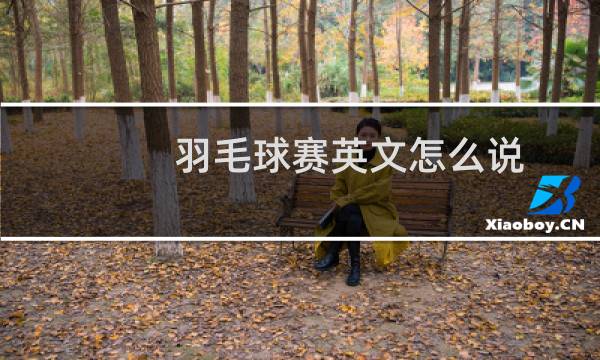 羽毛球赛英文怎么说