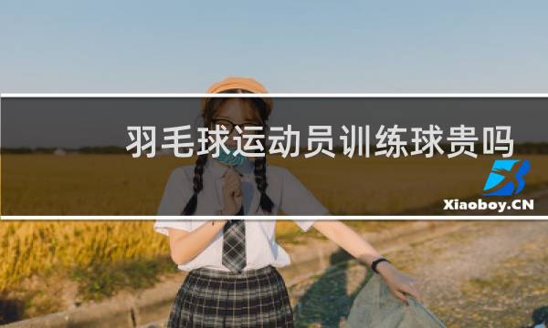 羽毛球运动员训练球贵吗