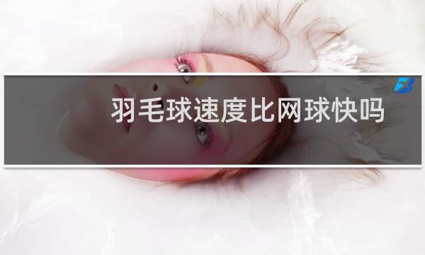 羽毛球速度比网球快吗