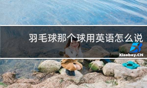 羽毛球那个球用英语怎么说