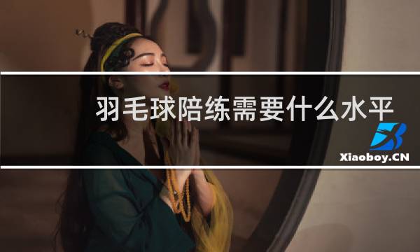羽毛球陪练需要什么水平
