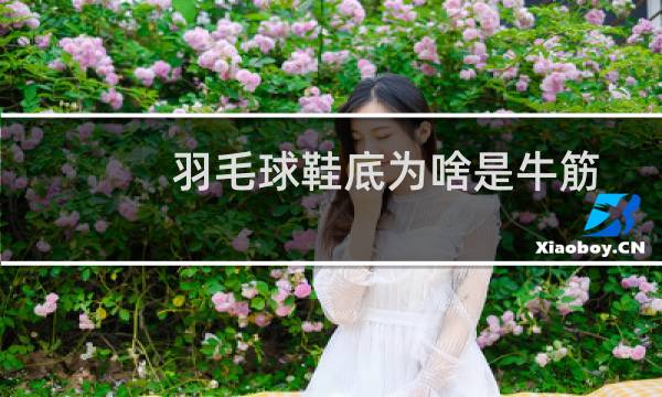 羽毛球鞋底为啥是牛筋
