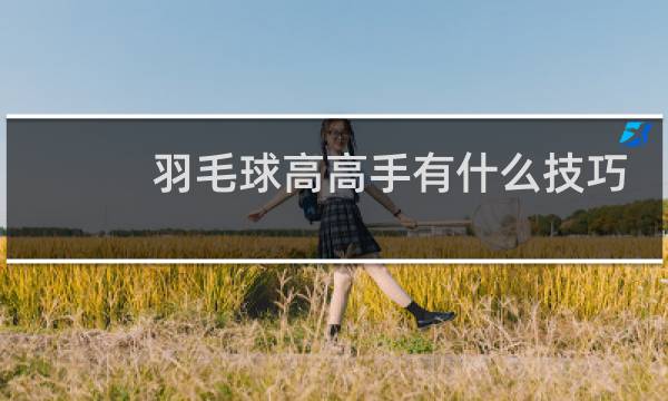 羽毛球高高手有什么技巧