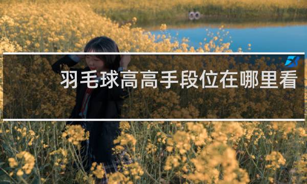 羽毛球高高手段位在哪里看