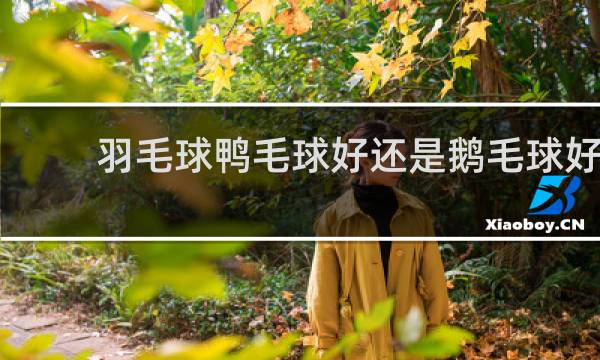 羽毛球鸭毛球好还是鹅毛球好